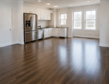 Move in cleaning